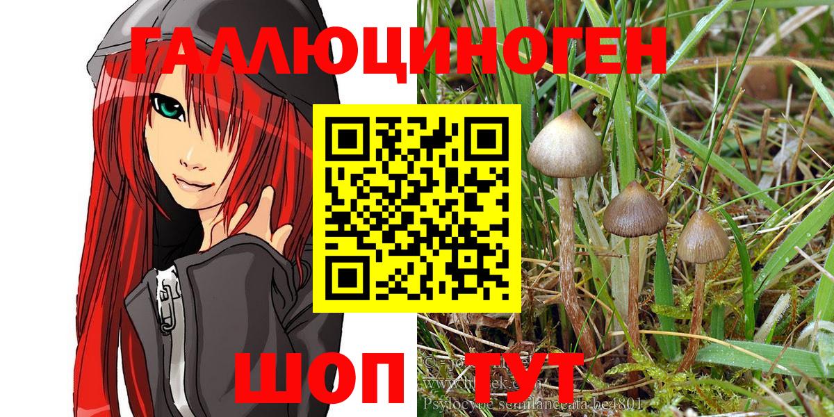 Псилоцибиновые грибы Psilocybe  Псилоцибиновые грибы MAGIC MUSHROOMS  Вход с VPN  Знаменск 