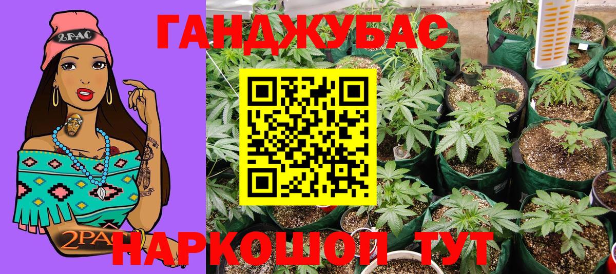 Знаменск  Каннабис индика  Вход с VPN  Бошки марихуана гибрид  МАРИХУАНА MAZAR 